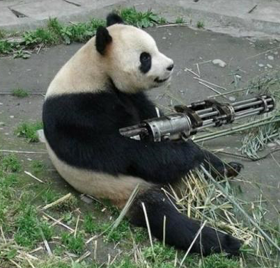 Panda holding a gatling gun